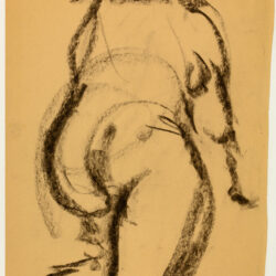 Model VII, 52 x 31 cm