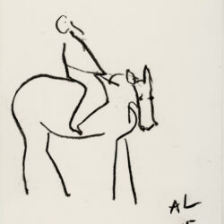 Muilezel, 47 x 32 cm