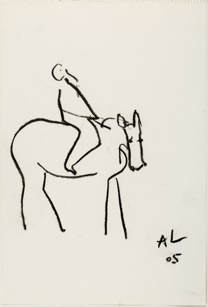 Muilezel, 47 x 32 cm