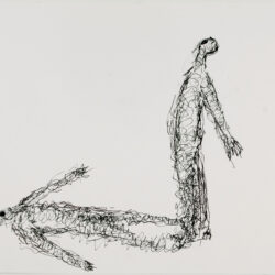 Dood Overleven, 32 x 37 cm